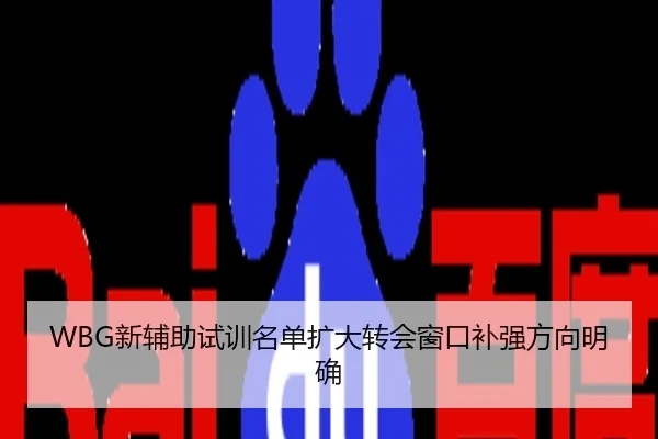 WBG新辅助试训名单扩大转会窗口补强方向明确